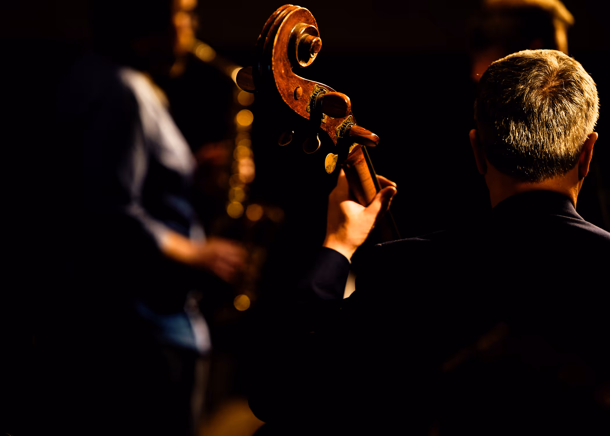 Bassist seen from behind with Simon Harding on stage